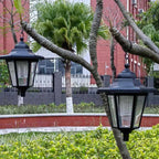 Deux lanternes solaires hexagonales suspendues à des branches d’arbre