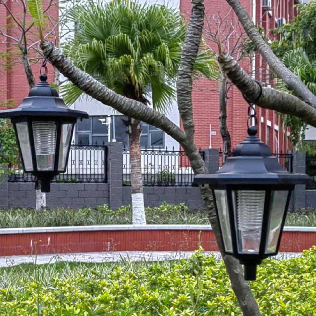 Deux lanternes solaires hexagonales suspendues à des branches d’arbre