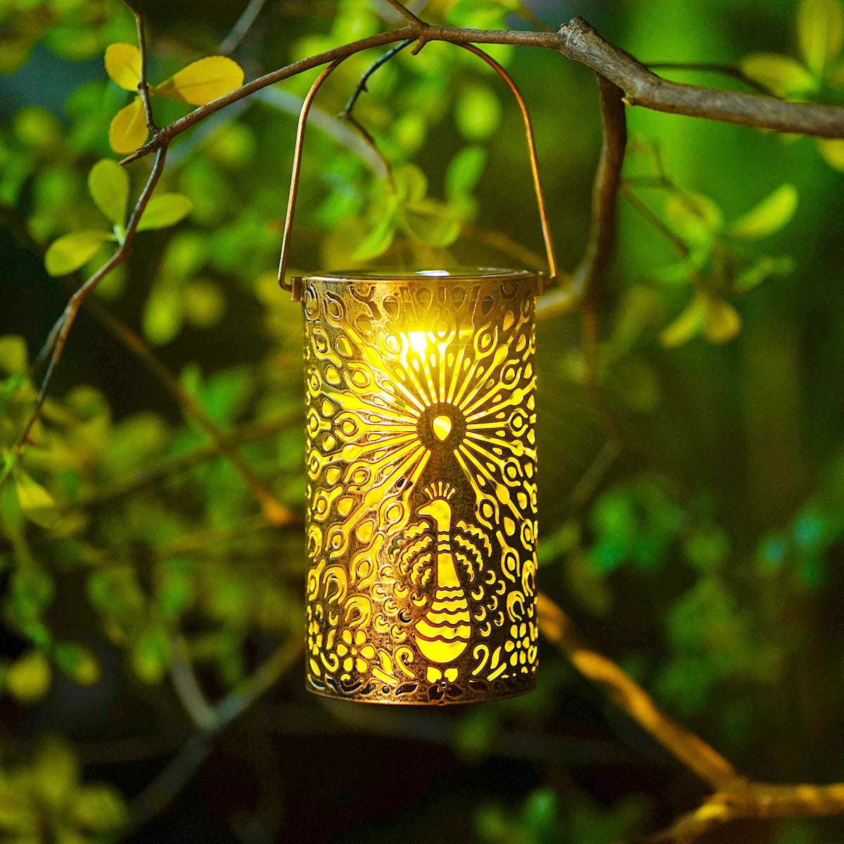 Lanterne solaire en métal ajouré à motif paon suspendue dans un arbre